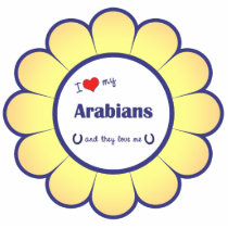 I Love My Arabians (Multiple Horses) Photo Cutouts