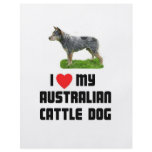 I Love My Australian Cattle Dog flyers