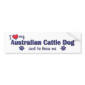I Love My Australian Cattle Dog (Male Dog) bumper stickers