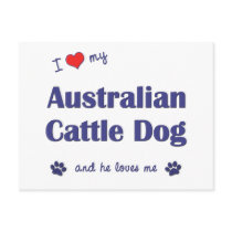 I Love My Australian Cattle Dog (Male Dog) Postcard