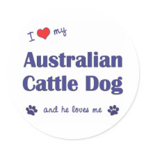 I Love My Australian Cattle Dog (Male Dog) Round Sticker