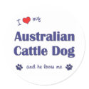 I Love My Australian Cattle Dog (Male Dog) stickers