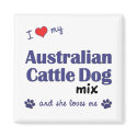 I Love My Australian Cattle Dog Mix (Female Dog) magnets