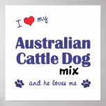 I Love My Australian Cattle Dog Mix (He) Poster posters