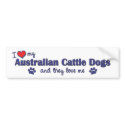 I Love My Australian Cattle Dogs (Multiple Dogs) bumper stickers