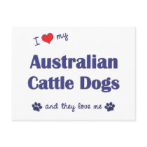 I Love My Australian Cattle Dogs (Multiple Dogs) Postcards