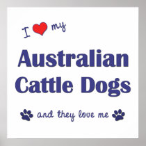 I Love My Australian Cattle Dogs (Multiple Dogs) Print