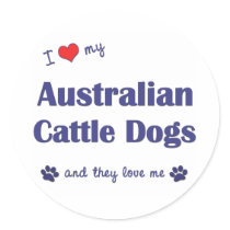 I Love My Australian Cattle Dogs (Multiple Dogs) Round Stickers