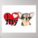 I Love My B&T Chihuahua Posters