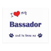 I Love My Bassador (Male Dog) Post Card
