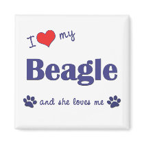 I Love My Beagle (Female Dog) Refrigerator Magnet