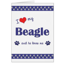 I Love My Beagle (Male Dog) Greeting Cards