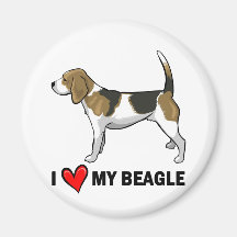 I Love My Beagle Refrigerator Magnet