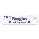 I Love My Beagles (Multiple Dogs) bumper stickers