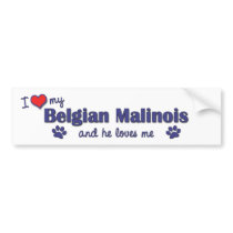 I Love My Belgian Malinois (Male Dog) Bumper Stickers
