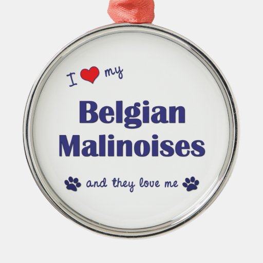 I Love My Belgian Malinoises (Multiple Dogs) Ornaments