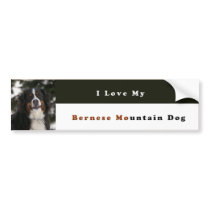 I Love My Bernese Mountain Dog Bumper Sticker