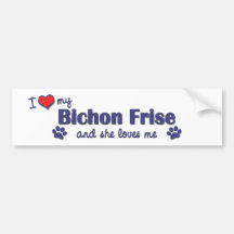 I Love My Bichon Frise (Female Dog) Bumper Stickers
