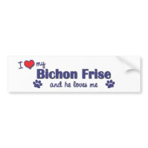 I Love My Bichon Frise (Male Dog) Bumper Stickers