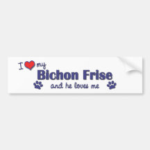 I Love My Bichon Frise (Male Dog) Bumper Stickers
