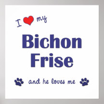 I Love My Bichon Frise (Male Dog) Print