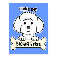 I Love My Bichon Frise Post Card
