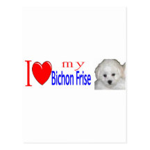 I love my bichon frise puppy post card