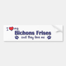 I Love My Bichons Frises (Multiple Dogs) Bumper Stickers