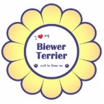 I Love My Biewer Terrier (Male Dog) Photo Cut Out