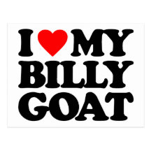 I LOVE MY BILLY GOAT POSTCARD