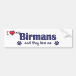 I Love My Birmans (Multiple Cats) Bumper Stickers