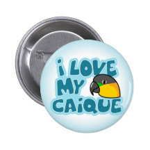 I Love My Black Headed Caique Button