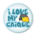 I Love My Black Headed Caique Magnet