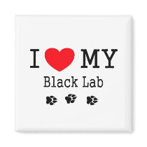 I Love My Black Lab Magnets