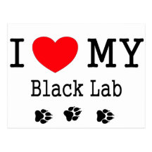 I Love My Black Lab Postcard