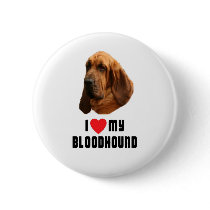 I Love My Bloodhound Pinback Buttons