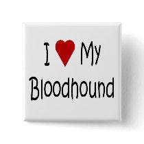 I Love My Bloodhound Dog Lover Gifts and Apparel Pinback Button