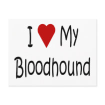 I Love My Bloodhound Dog Lover Gifts and Apparel Post Card