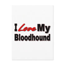 I Love My Bloodhound Dog Merchandise Post Cards