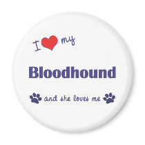 I Love My Bloodhound (Female Dog) Fridge Magnets