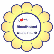 I Love My Bloodhound (Female Dog) Photo Cutout