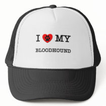 I LOVE MY BLOODHOUND