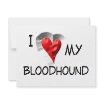 I Love My Bloodhound Personalized Invite