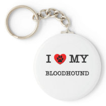 I LOVE MY BLOODHOUND
