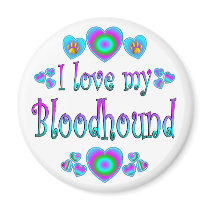 I Love My Bloodhound Fridge Magnet