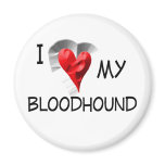 I Love My Bloodhound Magnet