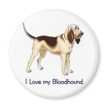 I Love my Bloodhound Magnets