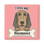 I Love My Bloodhound magnets