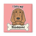 I Love My Bloodhound magnets