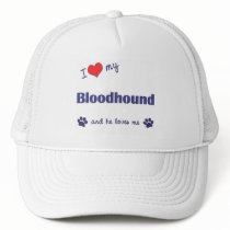 I Love My Bloodhound (Male Dog) Hat